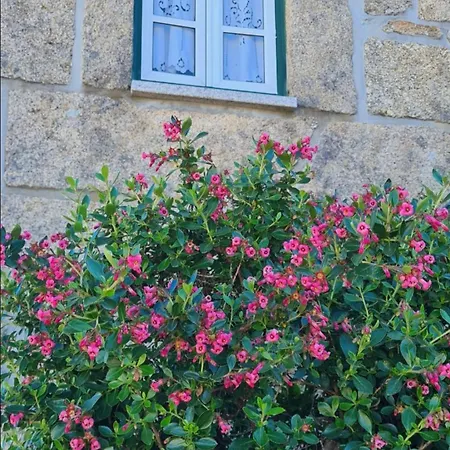 Tatil Evi Casa Pedrinhas Pousade