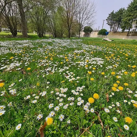 Casa Pedrinhas Pousade Tatil Evi