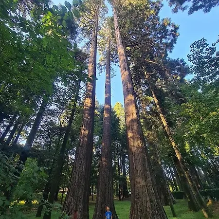 펜션 Casa Pedrinhas Pousade