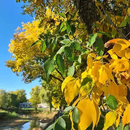 Casa Pedrinhas Pousade * Guarda