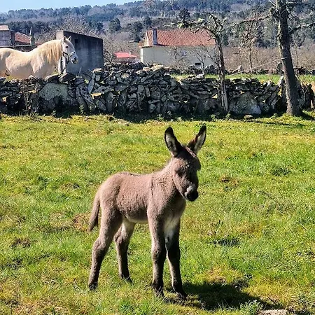 Casa Pedrinhas Pousade *