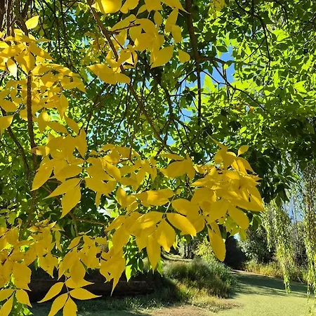 Casa Pedrinhas Pousade