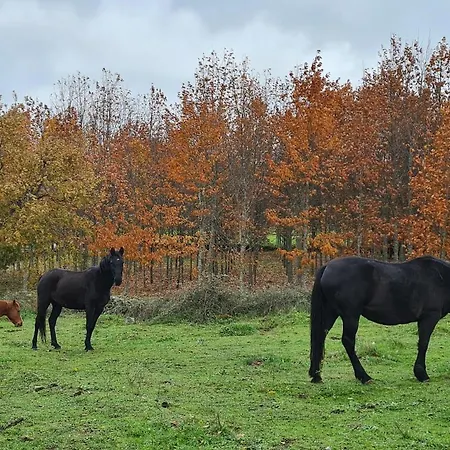 펜션 Casa Pedrinhas Pousade 과르다