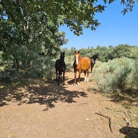 Casa Pédrinhas Pousade *