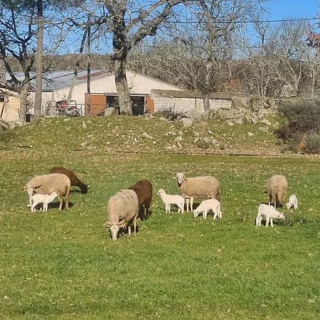 Casa Pédrinhas Pousade Hébergement de vacances Guarda