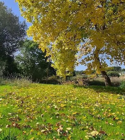 Casa Pédrinhas Pousade Hébergement de vacances Guarda