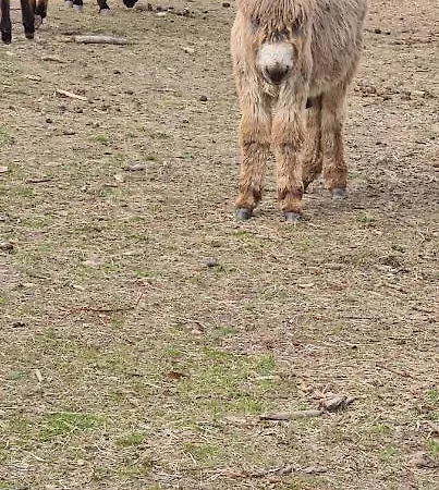 Casa Pédrinhas Pousade