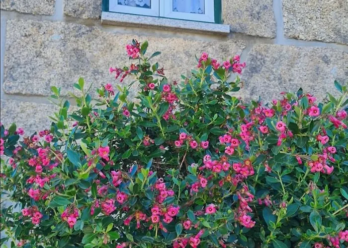 בית נופש Casa Pedrinhas Pousade