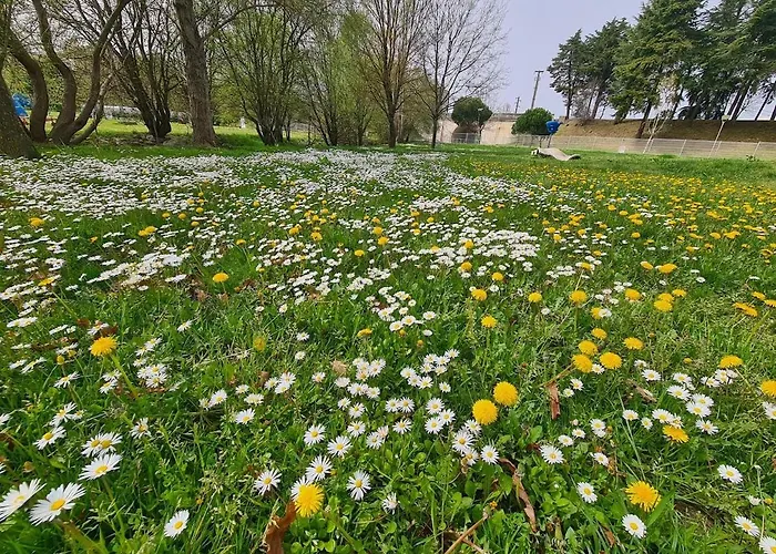 Casa Pedrinhas Pousade בית נופש