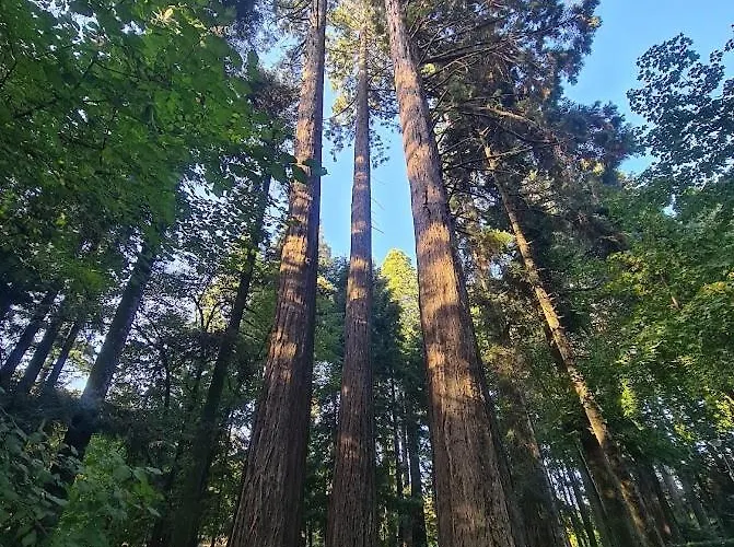 בית נופש Casa Pedrinhas Pousade