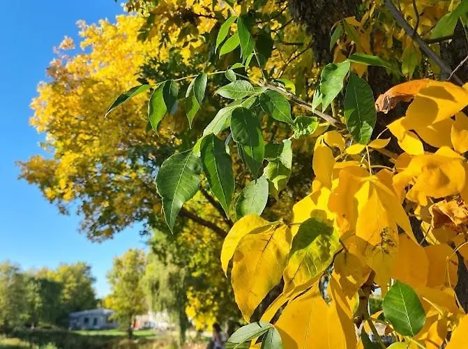 Casa Pedrinhas Pousade * גוארדה