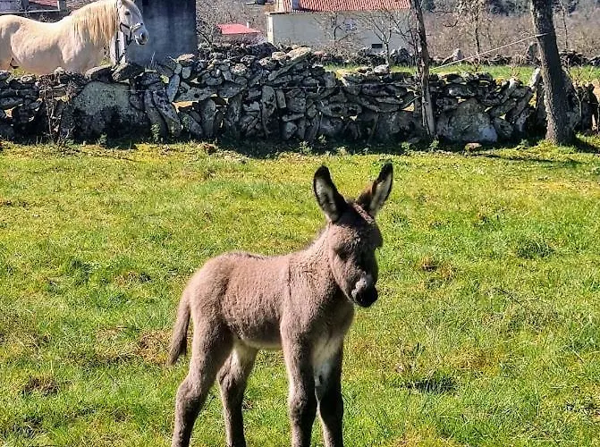 Casa Pedrinhas Pousade *