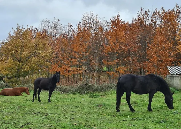 בית נופש Casa Pedrinhas Pousade גוארדה