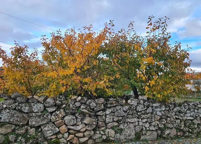 Casa Pedrinhas Pousade Holiday home