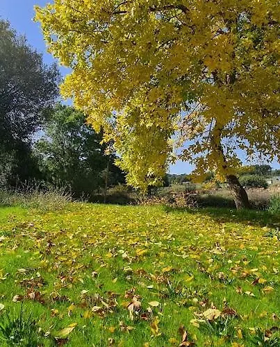 Casa Pedrinhas Pousade Holiday home Guarda