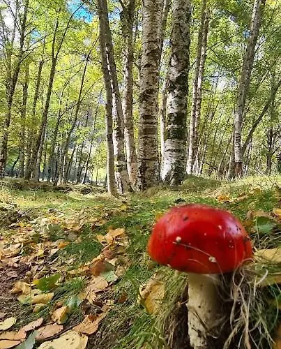 Casa Pedrinhas Pousade * Guarda